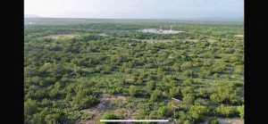 Gas Plant Rd (2)