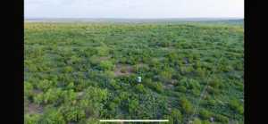 Gas Plant Rd (5)