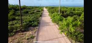 Gas Plant Rd (10)