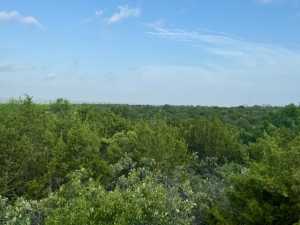 Gas Plant Rd (15)