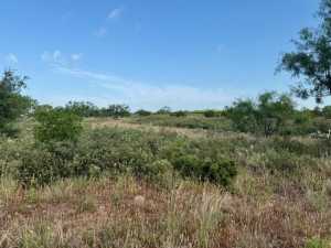 Gas Plant Rd (17)