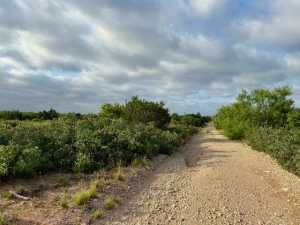Gas Plant Rd (19)