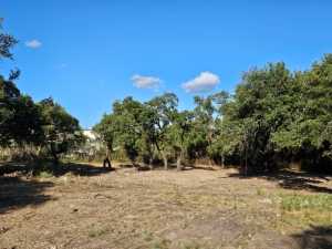 1120 E Broadway St (4)