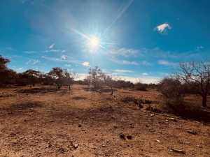 320 Turkey Run Rd (4)