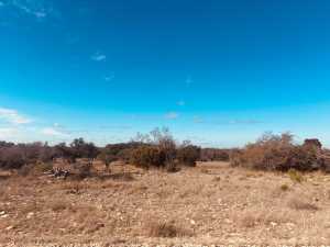 320 Turkey Run Rd (6)