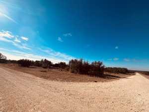 320 Turkey Run Rd (7)