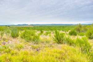 583 Cox Rd (51)