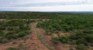 583 Cox Rd (13)