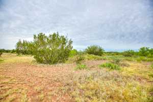 583 Cox Rd (54)