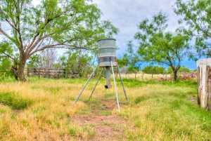 583 Cox Rd (57)