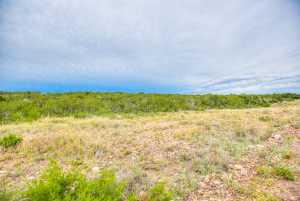 583 Cox Rd (64)