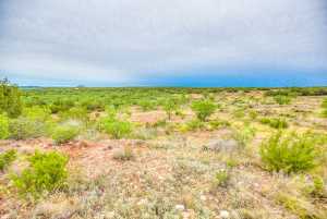 583 Cox Rd (65)