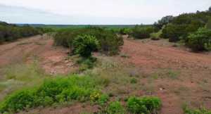 583 Cox Rd (9)