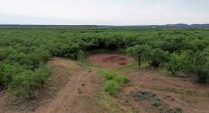 583 Cox Rd (10)