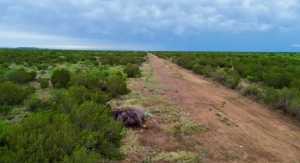583 Cox Rd (11)