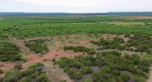 583 Cox Rd (8)