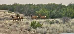 583 Cox Rd (3)