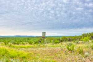 583 Cox Rd (31)