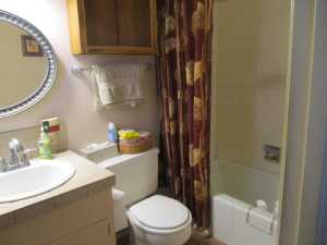 1709 Dove Creek Dr (10)