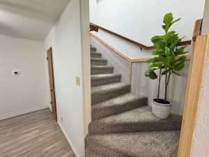 1036 Glenna Dr (13)