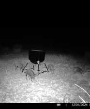 Poverty Canyon Rd (21)