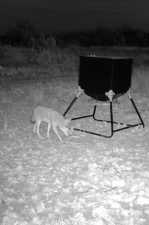 Poverty Canyon Rd (22)