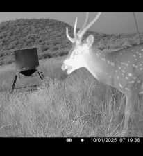 Poverty Canyon Rd (20)