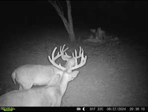 Poverty Canyon Rd (18)