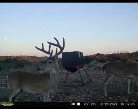 Poverty Canyon Rd (19)