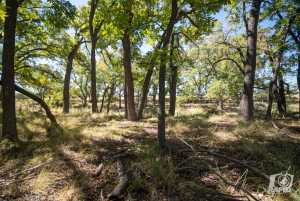 16033 Door Key Rd (54)