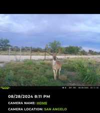 16033 Door Key Rd (72)