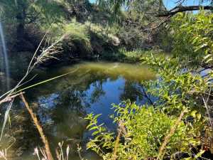 16033 Door Key Rd (59)