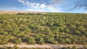 TBD W Hwy 190 (3)