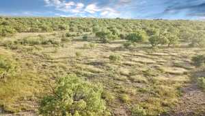 TBD W Hwy 190 (4)