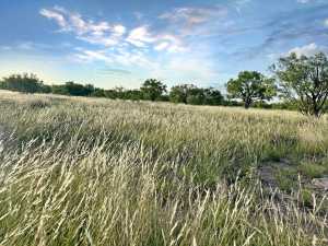 TBD W Hwy 190 (11)