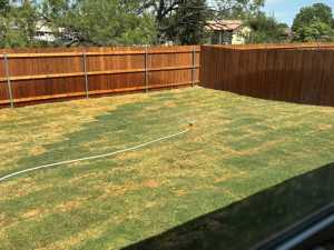 1013 Claborne Court (7)