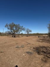 10954 Twin Lakes Lane (20)