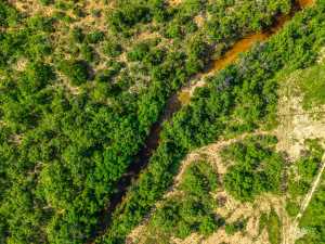 2641 OBryan Lane (9)