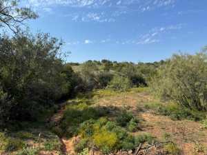Silver Loop Rd (4)