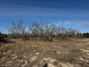1128 Big Buck Run Rd (10)