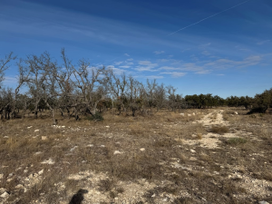 1128 Big Buck Run Rd (11)