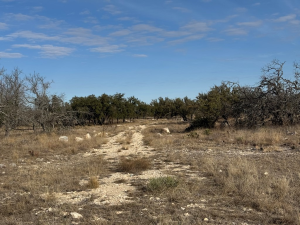 1128 Big Buck Run Rd (13)