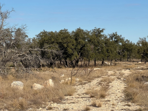 1128 Big Buck Run Rd (14)