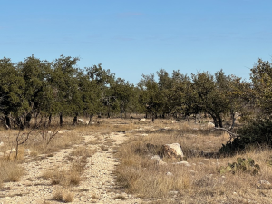 1128 Big Buck Run Rd (15)
