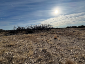 1128 Big Buck Run Rd (5)