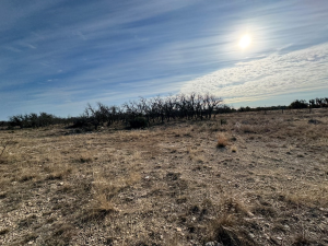 1128 Big Buck Run Rd (6)