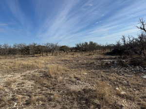 1128 Big Buck Run Rd (7)