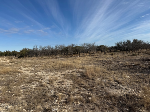 1128 Big Buck Run Rd (8)