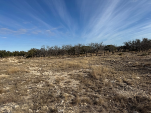 1128 Big Buck Run Rd (9)