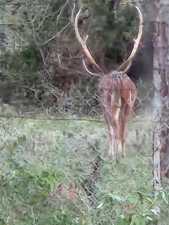 9286 County Road 2335